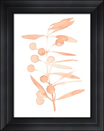 Framed Blush Olive Branch II Print