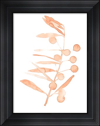 Framed Blush Olive Branch III Print