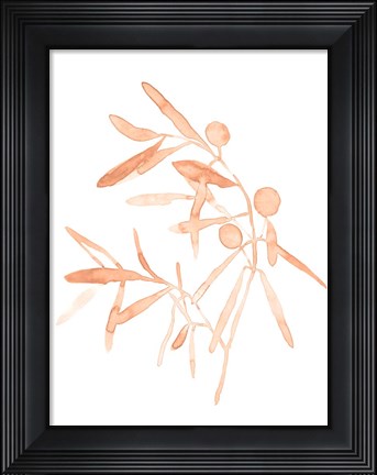 Framed Blush Olive Branch IV Print