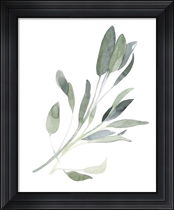 Framed Simple Sage I Print
