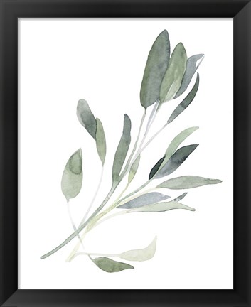 Framed Simple Sage I Print