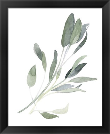 Framed Simple Sage I Print