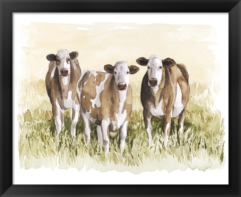 Framed Golden Graze I Print