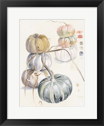 Framed Harvest Pumpkins II Print