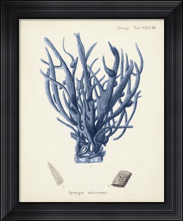 Framed Antique Coral in Navy V Print