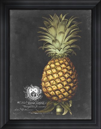 Framed Royal Brookshaw Pineapple I Print