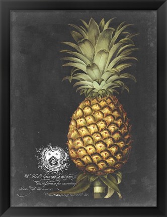 Framed Royal Brookshaw Pineapple I Print