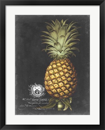 Framed Royal Brookshaw Pineapple I Print