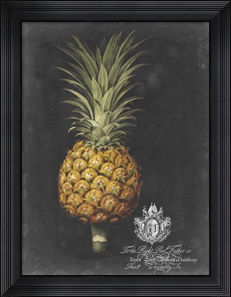 Framed Royal Brookshaw Pineapple II Print