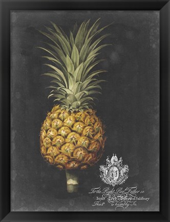 Framed Royal Brookshaw Pineapple II Print