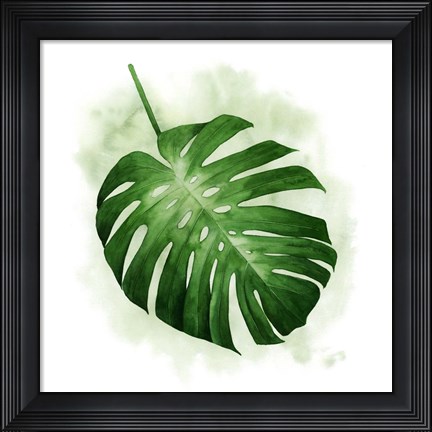 Framed Palm Wash I Print
