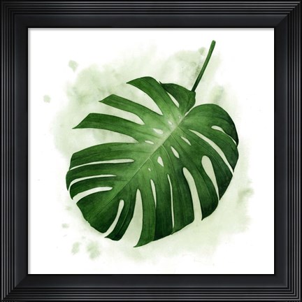 Framed Palm Wash II Print