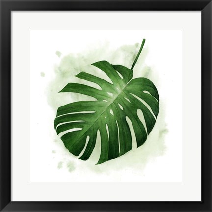 Framed Palm Wash II Print