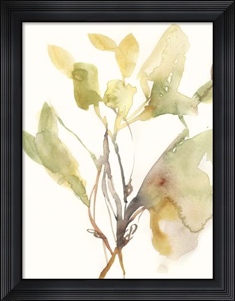 Framed Ebbing Leaves I Print