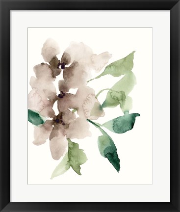 Framed Mauve Flowers II Print