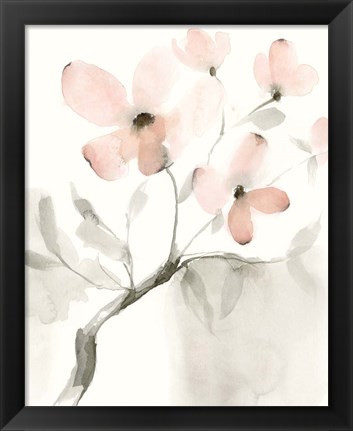 Framed Dogwood Dream I Print