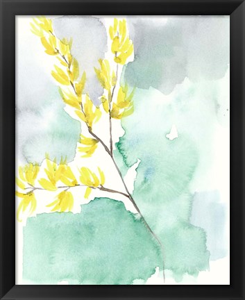 Framed Forsythia Dreams I Print