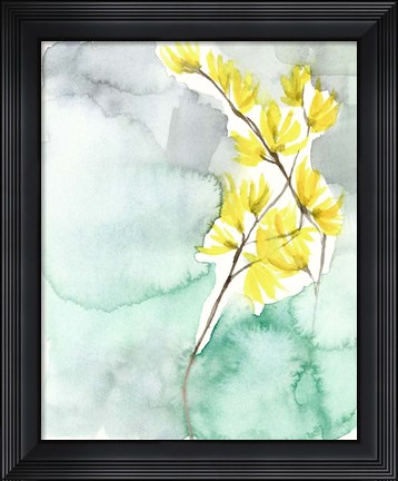 Framed Forsythia Dreams II Print