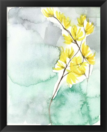 Framed Forsythia Dreams II Print