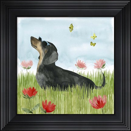 Framed Park Pup I Print