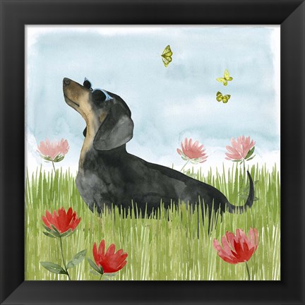 Framed Park Pup I Print