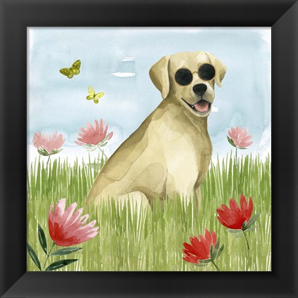 Framed Park Pup II Print