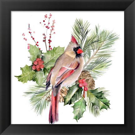 Framed Cardinal Holly Christmas II Print