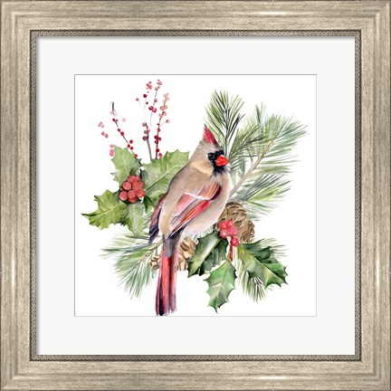 Framed Cardinal Holly Christmas II Print