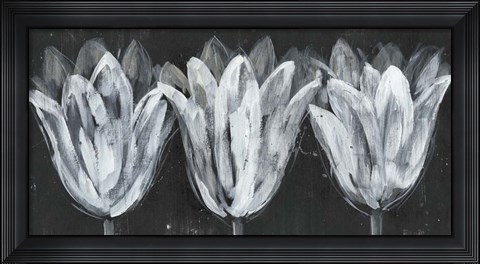 Framed White Trio on Black I Print