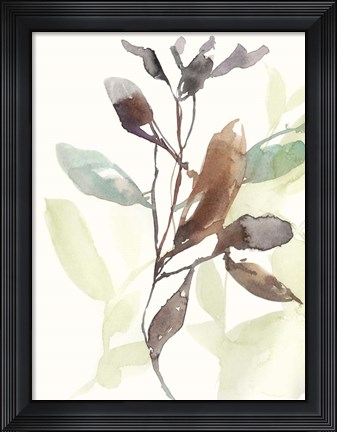 Framed Rusty Sienna Leaves I Print