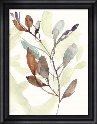 Framed Rusty Sienna Leaves II Print