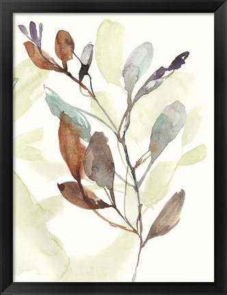 Framed Rusty Sienna Leaves II Print