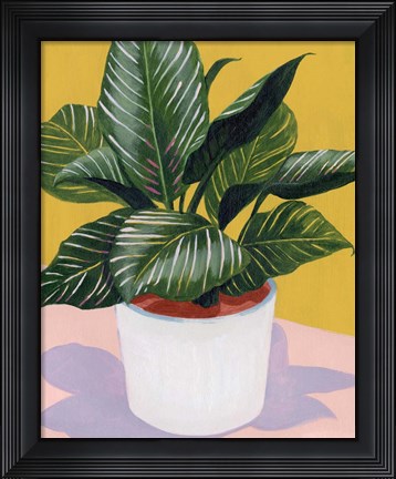 Framed Calethea II Print