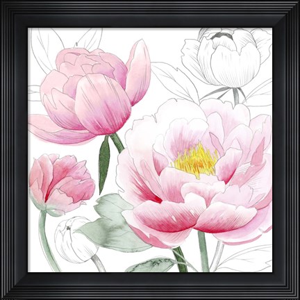 Framed May Peonies I Print