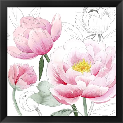 Framed May Peonies I Print