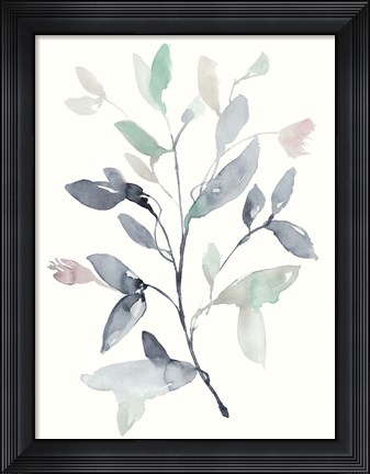 Framed Water Branches I Print