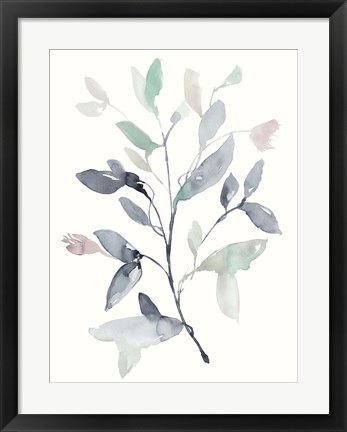 Framed Water Branches I Print