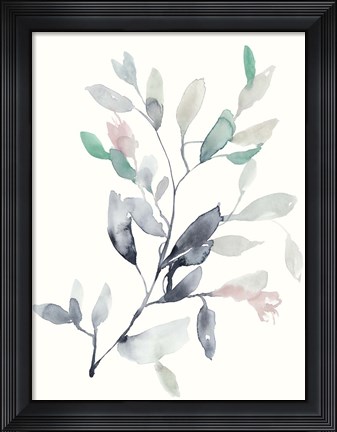Framed Water Branches II Print