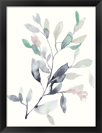 Framed Water Branches II Print