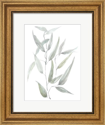 Framed Ethereal Eucalyptus I Print