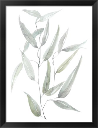 Framed Ethereal Eucalyptus I Print