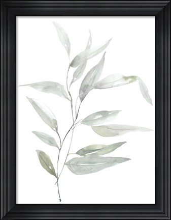Framed Ethereal Eucalyptus II Print