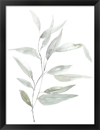 Framed Ethereal Eucalyptus II Print