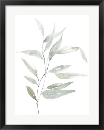 Framed Ethereal Eucalyptus II Print