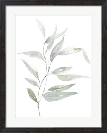 Framed Ethereal Eucalyptus II Print