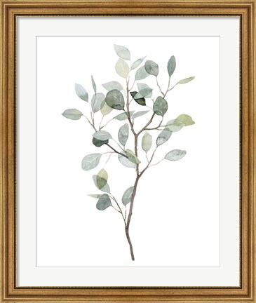Framed Seaglass Eucalyptus I Print