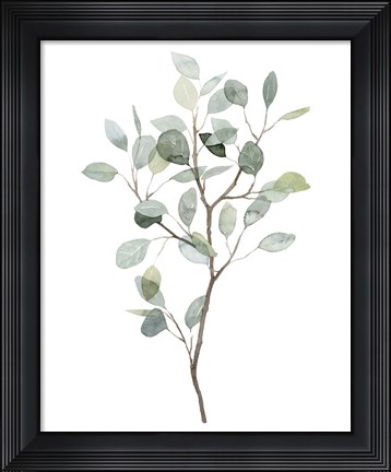 Framed Seaglass Eucalyptus I Print