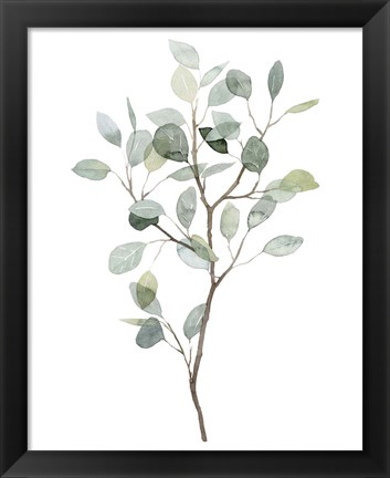 Framed Seaglass Eucalyptus I Print