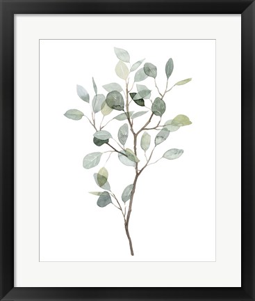 Framed Seaglass Eucalyptus I Print