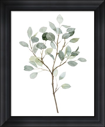 Framed Seaglass Eucalyptus II Print